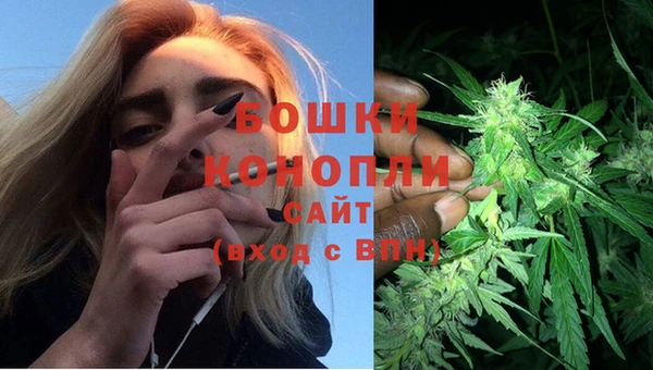 метадон Каменногорск