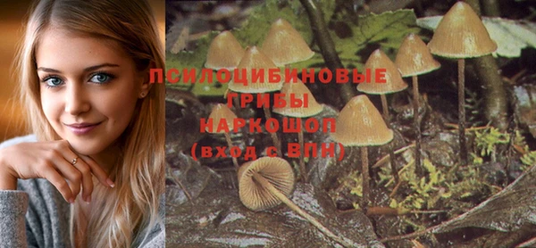 метадон Каменногорск