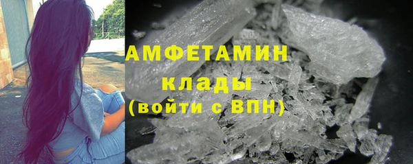 спиды Щигры